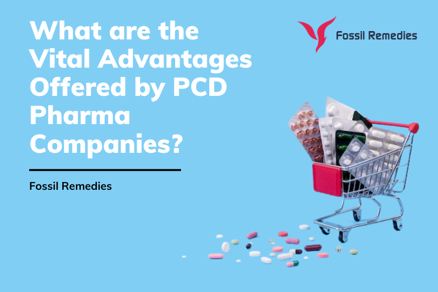 What are the Vital Advantages Offered by PCD Pharma Companies?