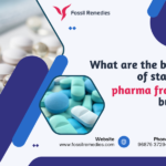 starting a pharma franchise business