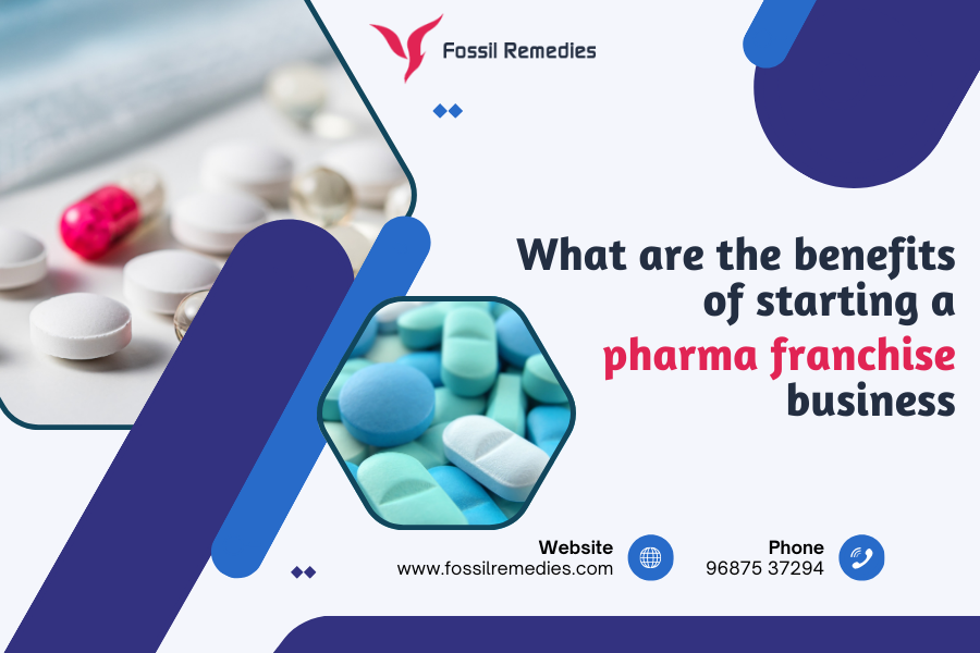 starting a pharma franchise business