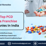 Top 10 PCD Pharma Franchise Companies in India